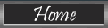 home button